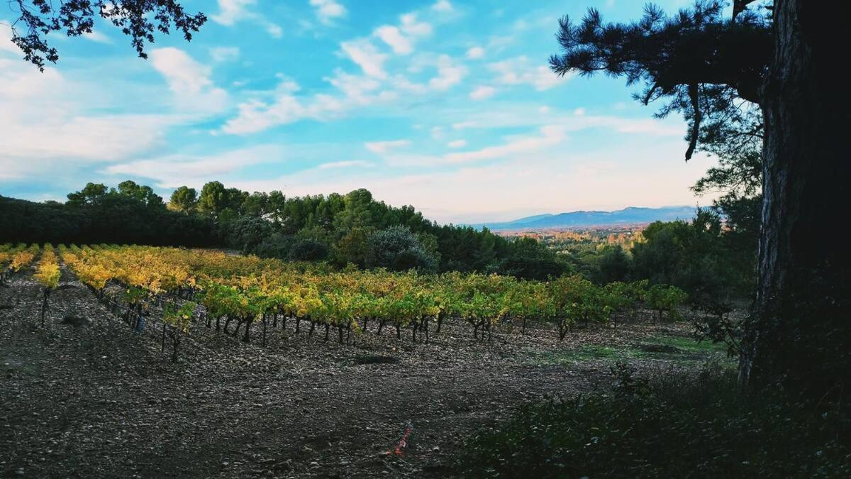 L'Appartement De L'Arche Châteauneuf-de-Gadagne Dış mekan fotoğraf