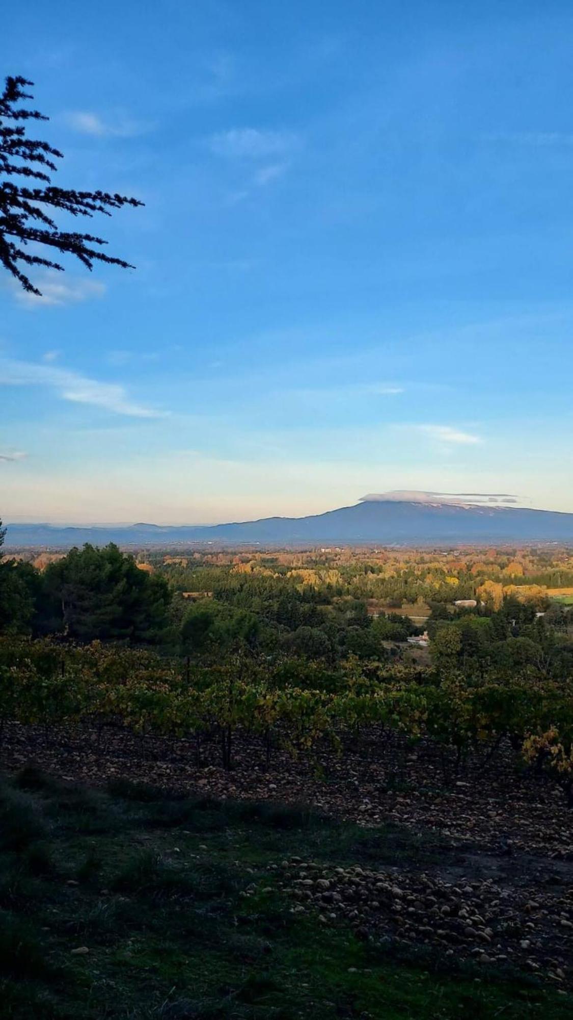 L'Appartement De L'Arche Châteauneuf-de-Gadagne Dış mekan fotoğraf